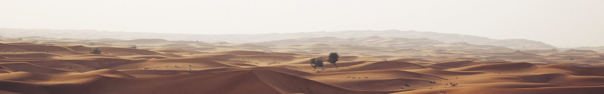 ƽؾ޹˾